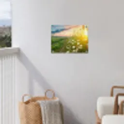 Bloemen - Madelief - Natuur - Zon - Horizon tuinposter los doek klein -sfeer8