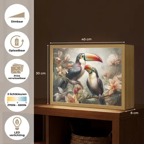 Toekan - Vogels - Bloemen - Jungle Light Box met batterij (Wandlamp) middel -USP_websiteoverzichtNL