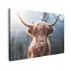 Schotse hooglander - Koe - Dieren - Berg - Natuur canvas 2cm klein -z3d