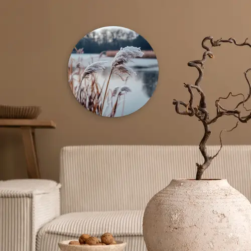 Riet - Gras - Natuur - Winter - Meer Wandcirkel kunststof plaat 5mm dik klein -sfeer1