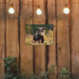 Beer - Bloemenveld - Gras tuinposter los doek klein -sfeer1