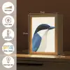 Illustratie - Blauw - Vogel Light Box met kabel (Tafellamp) klein -USP_FR