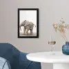 Baby olifant - Dieren - Olifant - Kinderen - Meiden - Jongens fotolijst zwart zonder passe partout klein -sfeer4