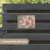 Lelies - Meeldraden - Roze - Wazig tuinposter los doek klein -sfeer3