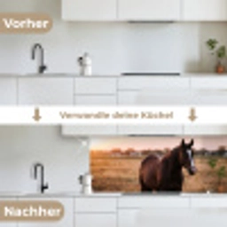Paard - Zonsondergang - Bruin keuken achterwand 2 middel -voor-na_DE
