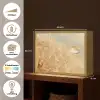 Paardenbloem - Water - Natuur - Planten - Modern Light Box met batterij (Wandlamp) middel -USP_websiteoverzichtNL