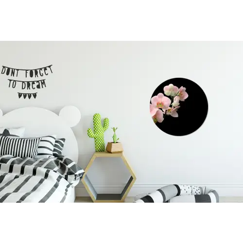 Orchidee - Bloemen - Roze - Stilleven - Flora Wandcirkel aluminium klein -kinderkamer