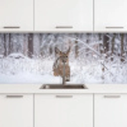 Hert - Sneeuw - Bos - Dieren - Vertederend keuken achterwand 2 middel -3d
