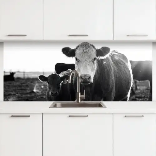 Koeien - Zwart - Wit keuken achterwand 2 middel -3d