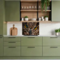 Uil - Dier - Oranje keuken achterwand 2 middel -sfeer3