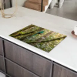 Quetzal - Jungle - Natuur - Groen Inductie beschermer vinyl 3mm klein -sfeer8