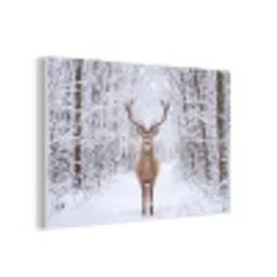 Hert - Winter - Bos - Natuur - Wit forex 5mm xxl -3d