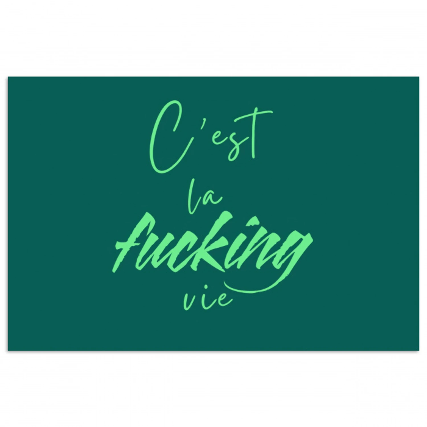c'est la fucking vie - Groen - Handgeschreven poster papier klein -3d