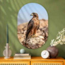 Valk - Vogel - Rots - Macht Wandcirkel Ovaal Glas middel -sfeer2