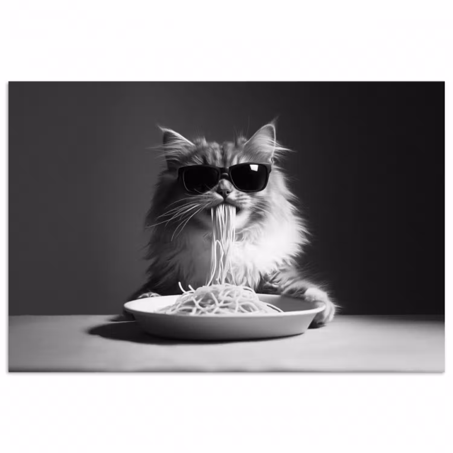 Poster - Langhaarkatze - Sonnenbrille - Spaghetti - Humor - Schwarz - Weiß