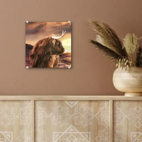 Schotse hooglander - Zon - Horizon - Koe - Dieren plexiglas 5mm klein -sfeer5