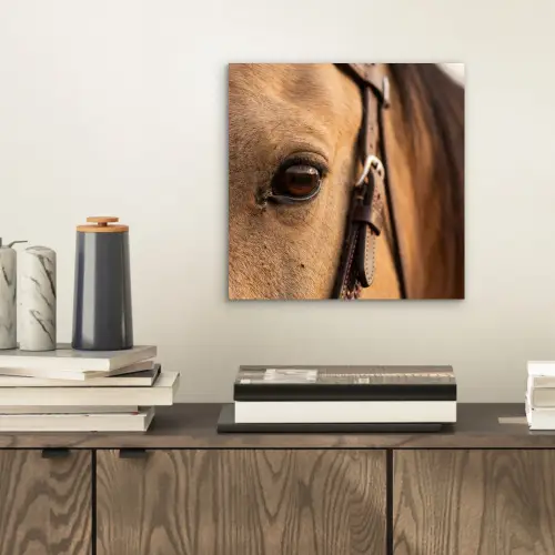 Paard - Oog - Bruin aluminium wit klein -sfeer1