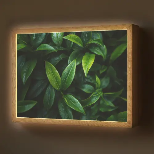 Bladeren - Regendruppels - Licht - Groen Light Box met batterij (Wandlamp) middel -z3d_website