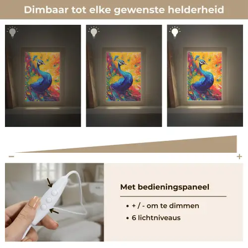 Pauw - Kunst - Schilderij - Pauwenveren Light Box met kabel (Tafellamp) klein -USP_dimbaarNL