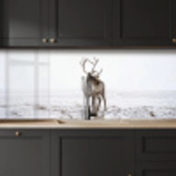 Rendier - Gewei - Sneeuw - Winter keuken achterwand 2 middel -sfeer1