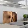 Paard - Oog - Bruin keuken achterwand spatscherm klein -3d_schuin