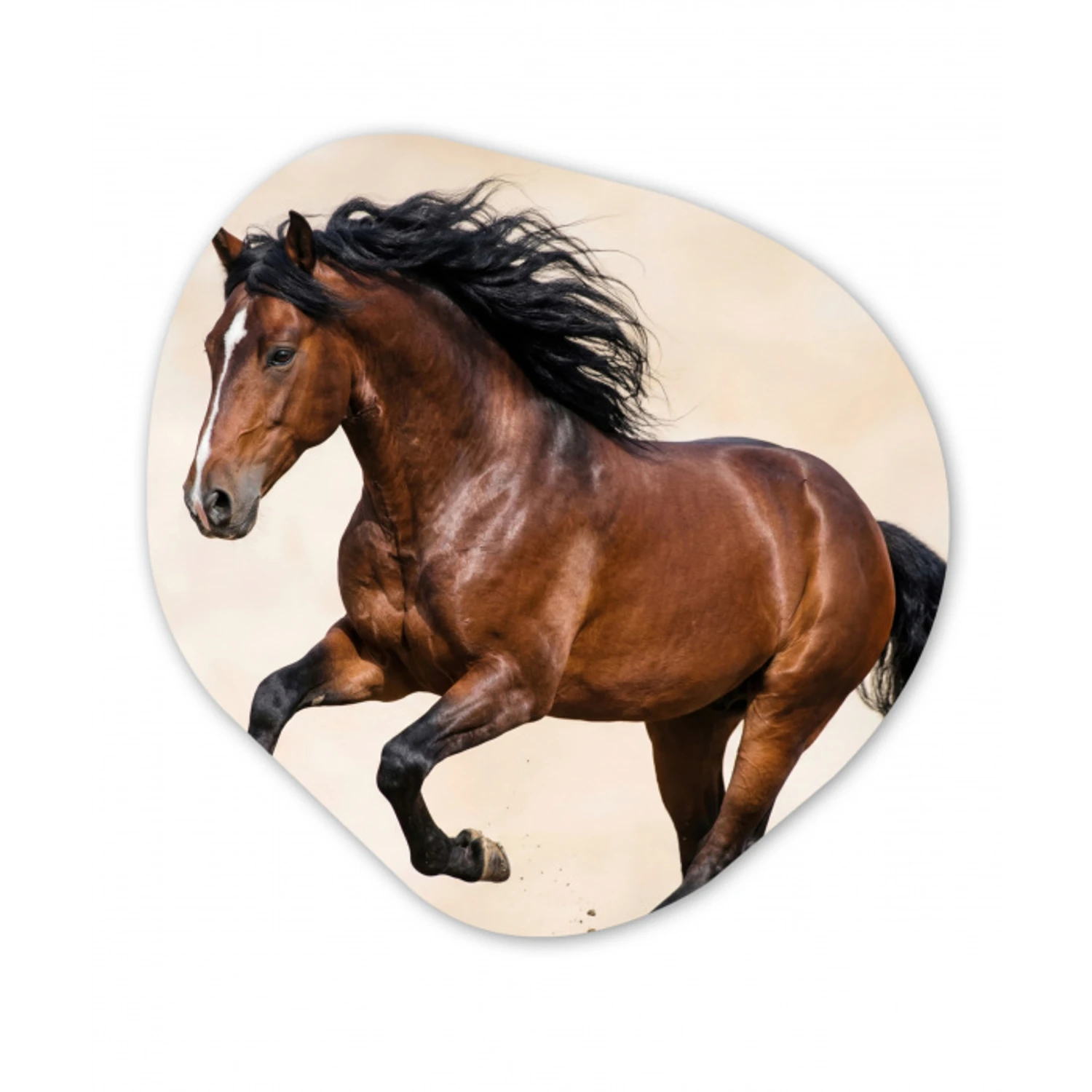 Paard - Galop - Energie Wandcirkel Organisch Forex 3mm klein -3d