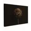 Donkerbruin - Bloem - Textuur - Artisjok canvas 2cm klein -z3d