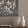 Tijger - Dieren - Portret - Luxe - Zwart PET vilt klein -sfeer6_closeup