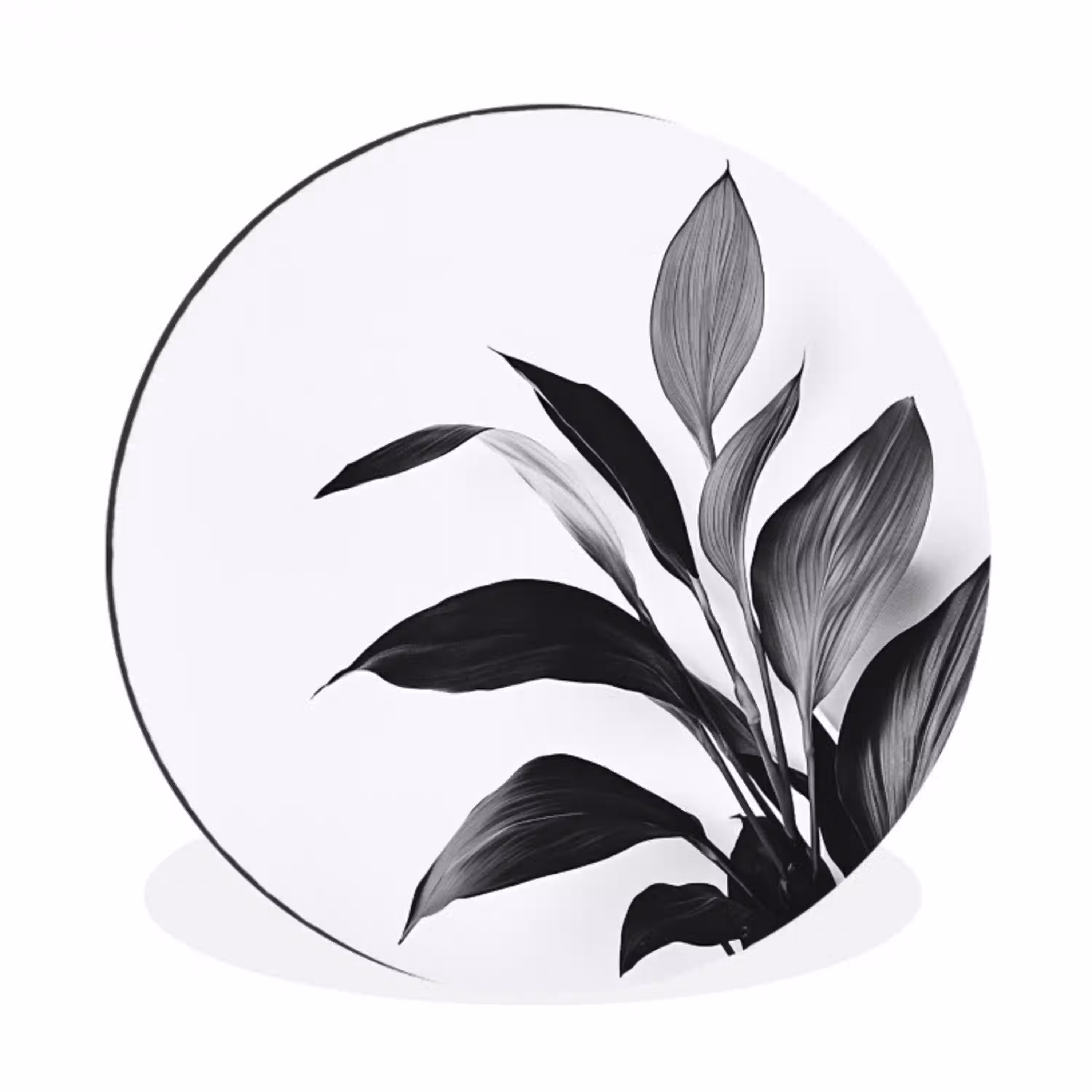 Plant - Bladeren - Minimalistisch - Zwart Wandcirkel aluminium klein -3d