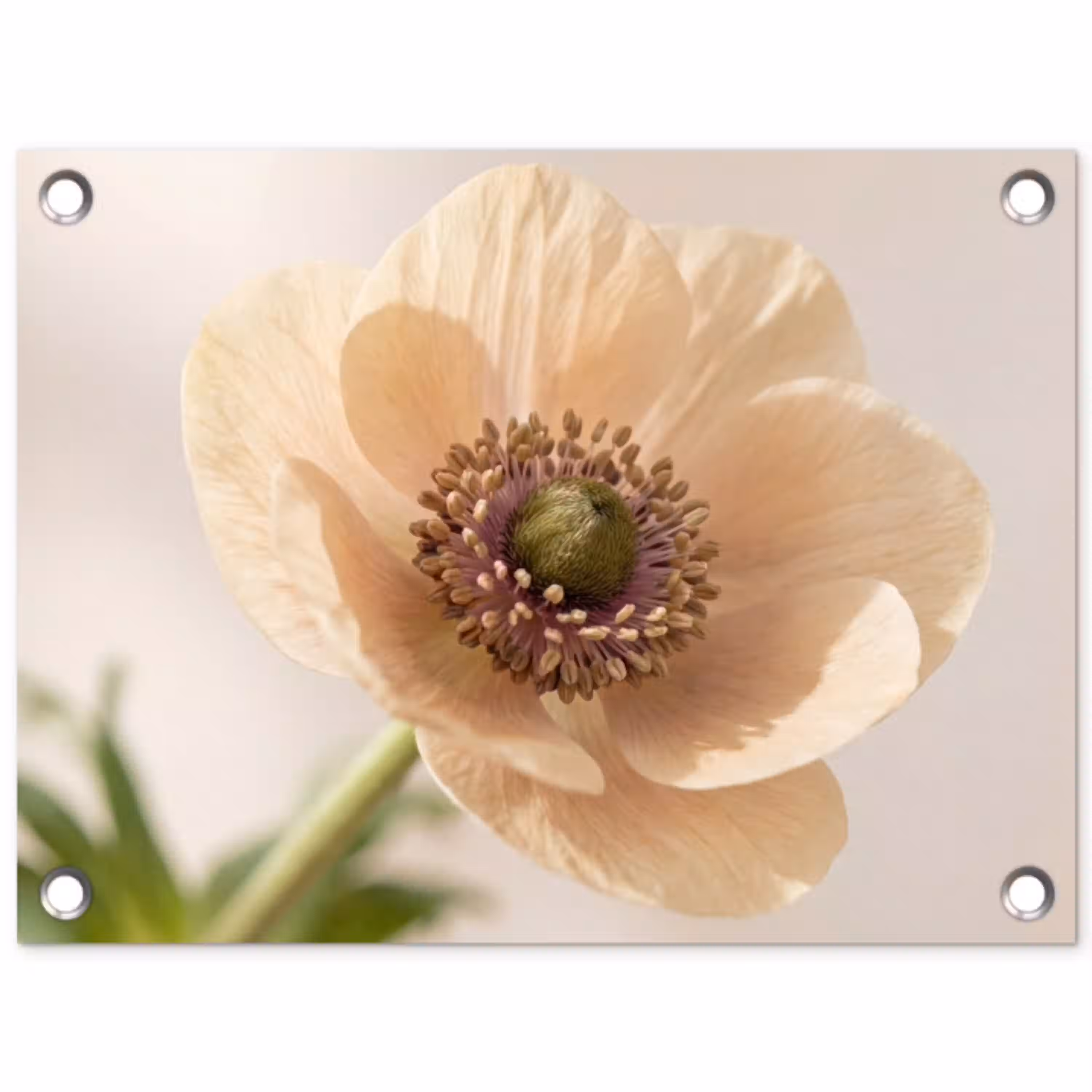 Bloem - Minimalistisch - Groen tuinposter los doek klein -3d