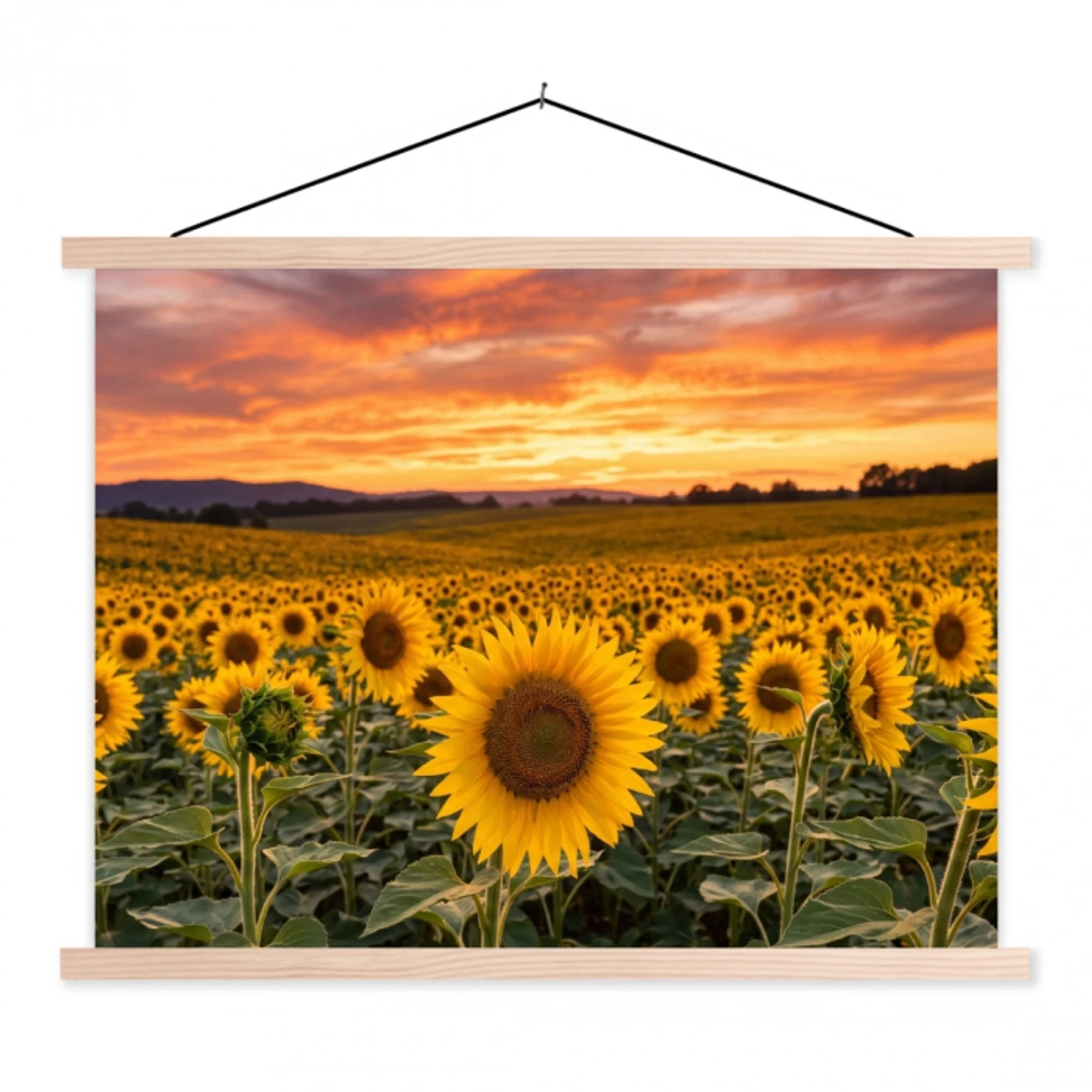 Zonnebloemen - Heuvellandschap - Geel textielposter latten blank klein -3d