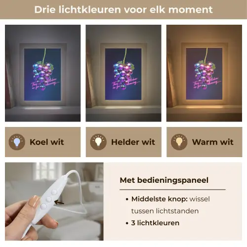 Quote - Neon - Disco - Druiven Light Box met kabel (Tafellamp) klein -USP_lichtkleurNL
