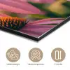 Bloemen - Paars - Bijen aluminium wit klein -closeup_NL