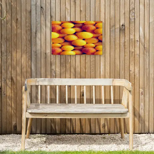 Vrucht - Waterdruppels - Oranje Tuinposter op houten frame 2 cm dik klein 845 -sfeer4