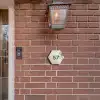 Lichtbeige met plant - Traditioneel Naambord Hexagon klein -sfeer7-hexagon-XS