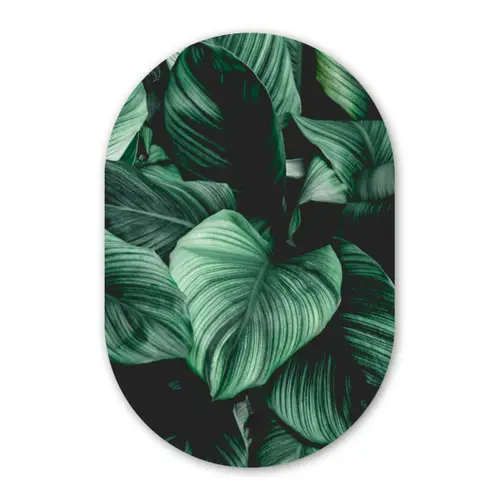 Jungle - Bladeren - Tropisch - Planten - Natuur Wandcirkel Ovaal Forex klein -3d