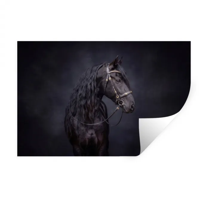 Portret - Paard - Donker Muursticker klein -3d