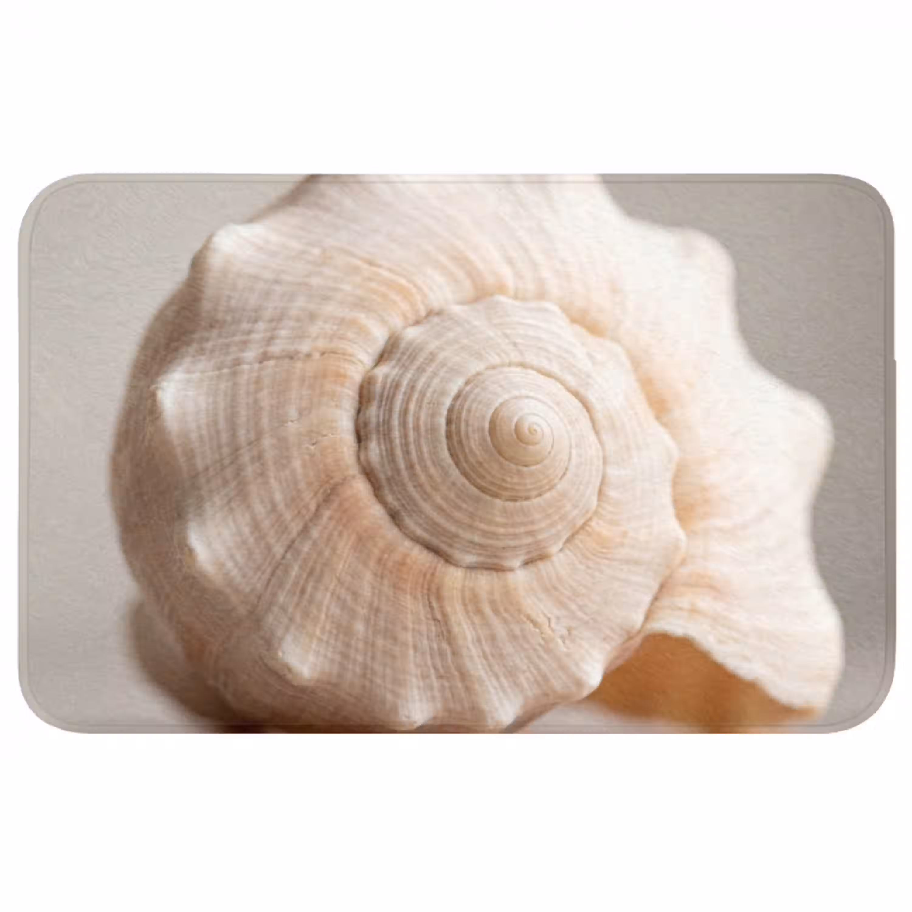 Schelp - Detail - Beige Badmat middel -3d