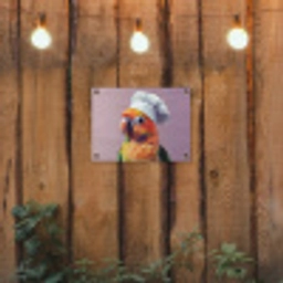 Papegaai - Koksmuts - Nieuwsgierig - Vogel tuinposter los doek klein -sfeer1