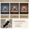 Panda - Jas - Graffiti - Oranje Light Box met batterij (Wandlamp) middel -USP_lichtkleurNL