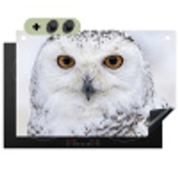 Sneeuwuil - Oog - Wildlife - Wit Inductie beschemer met haakjes klein -3d