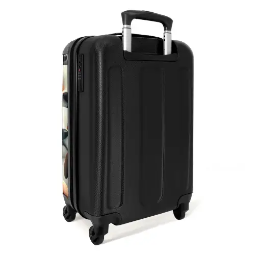 Hondsdolheid Koffer - NBS - Handbagage middel -achterkant