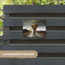 Olifant op een verlaten weg tuinposter los doek klein -sfeer3