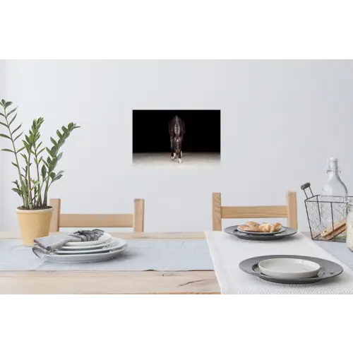 Paard - Modern - Portret Muursticker klein -eettafel