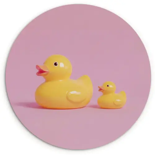 Eendjes - Vrolijk - Roze Wandcirkel kunststof plaat 5mm dik klein -3d