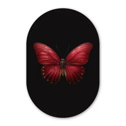 Vlinder - Rood - Minimalistisch Wandcirkel Ovaal Forex klein -3d