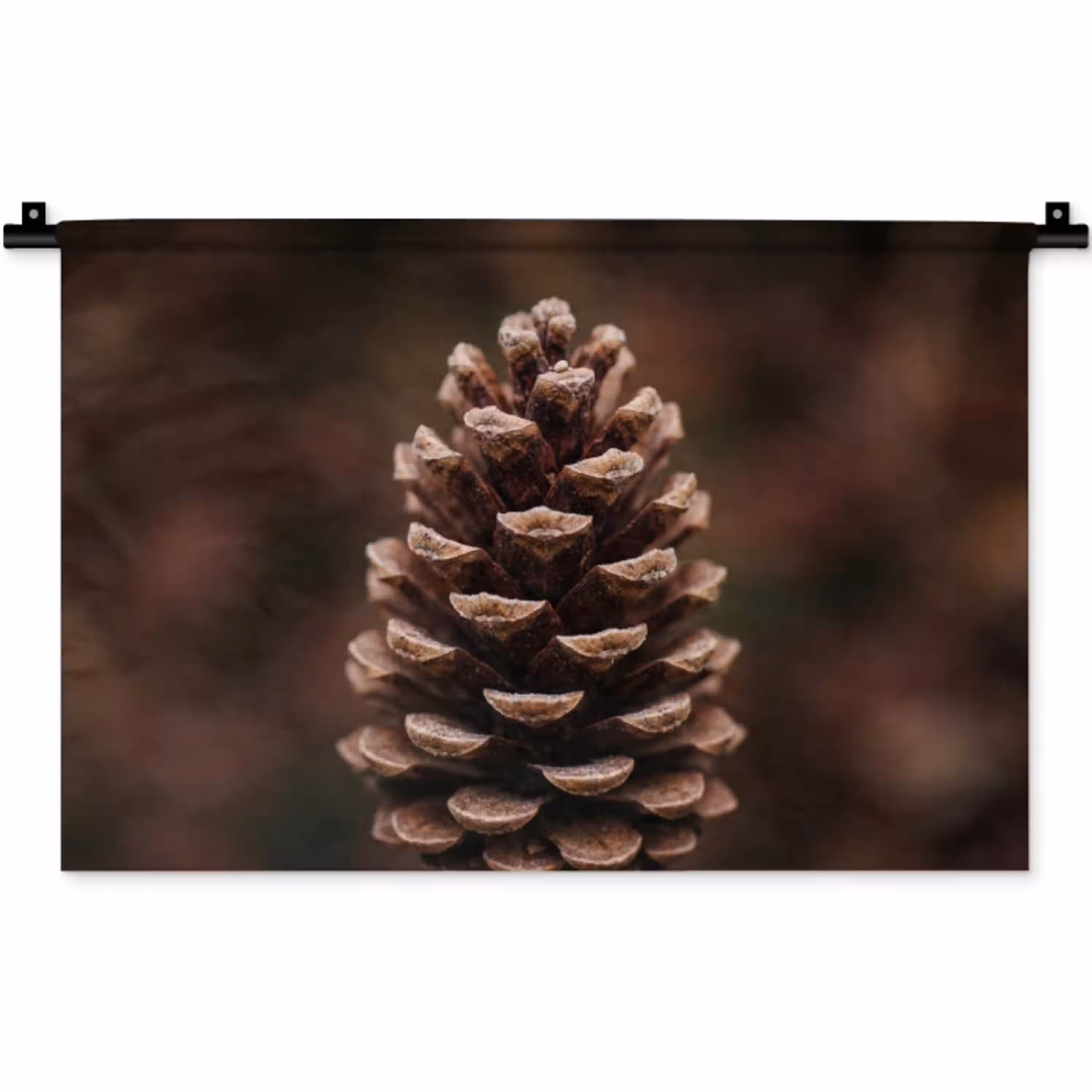 Dennenappel - Bos - Herfst - Bruin - Sfeervol Wandkleed katoen klein -zz3d