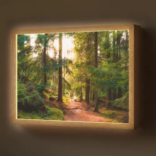 Bos - Pad - Bomen - Groen - Zon - Natuur Light Box met batterij (Wandlamp) middel -z3d_website