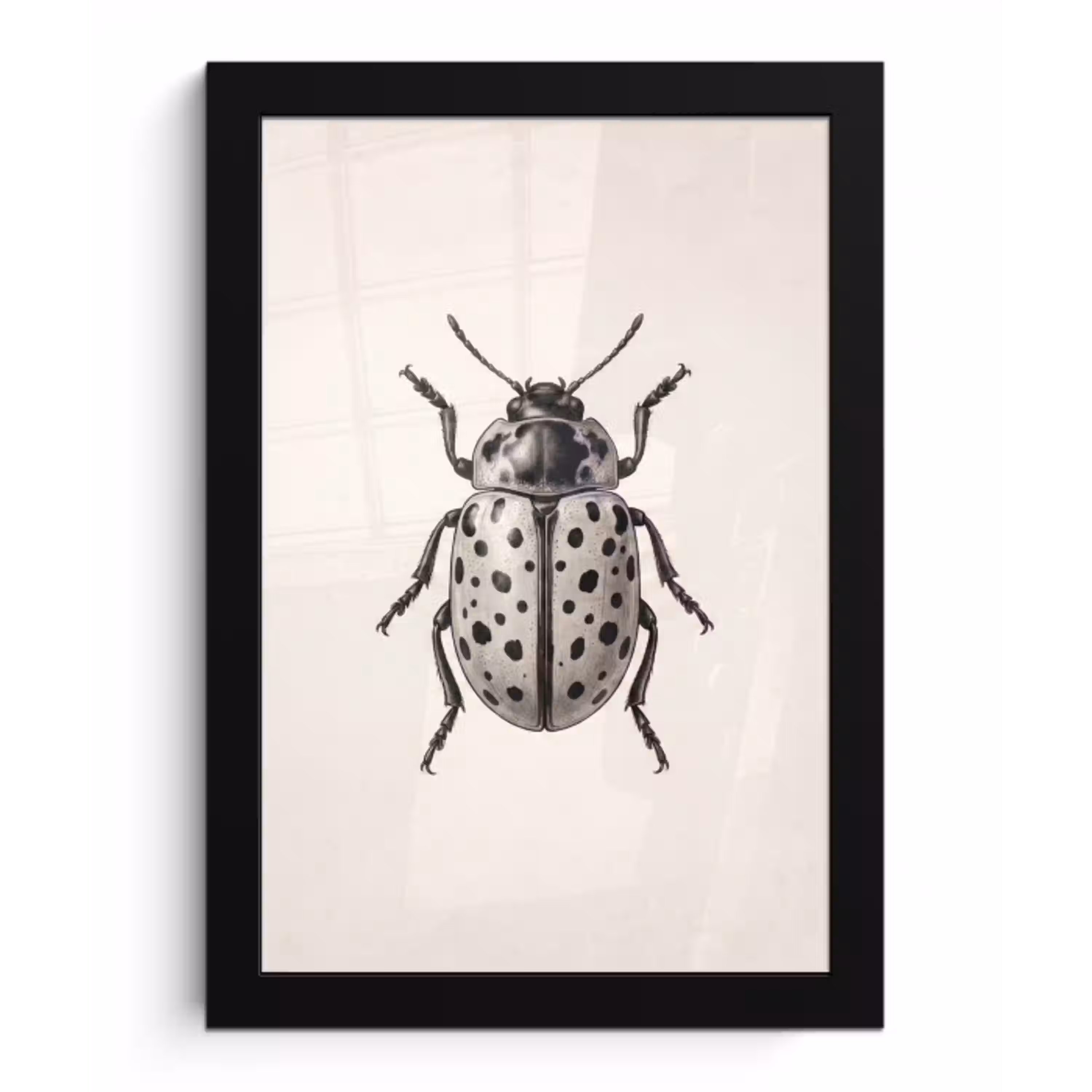 Kever - Insect - Vintage fotolijst zwart zonder passe partout klein -3d