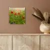 Lente - Bloemen - Rood - Klaproos - Gras - Groen plexiglas 5mm klein -sfeer5